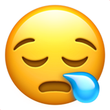 :sleepy-face: